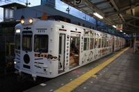 たま電車外観